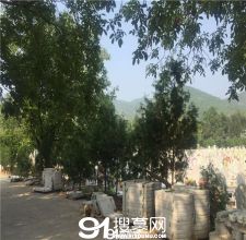 陵园风景图-2