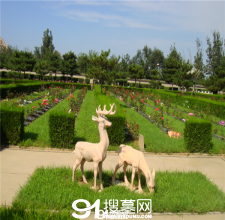 陵园风景图-9