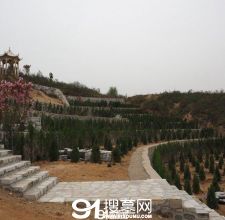 陵园风景图-7