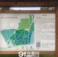 陵园风景图-12
