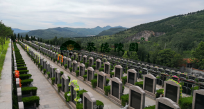 陵园风景图-4