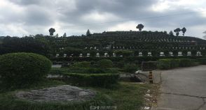 陵园风景图-3